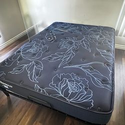 Sealy Queen Mattress