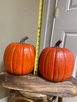 Two Pumpkins 🎃 NWT 🎃 ✨Retail - $32 Each ✨