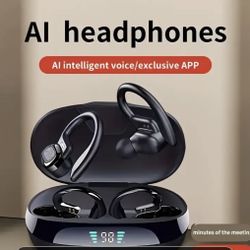 Translate Earphones/Traductores