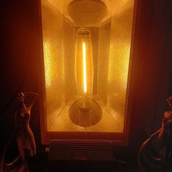 Grow Light And Stage Light