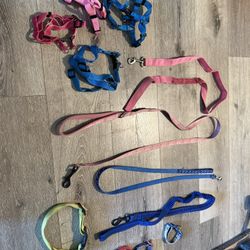 Leashes, Collars, Harnesses, Etc. 