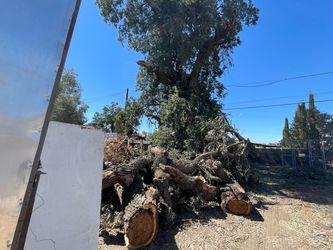 Oak fire 🔥 wood and smoker wood