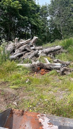 Firewood