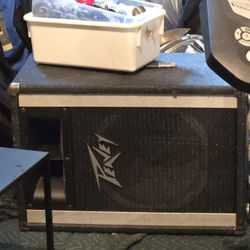 Peavy Passive Speaker