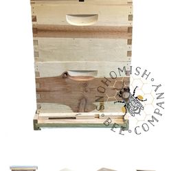 Bee Box