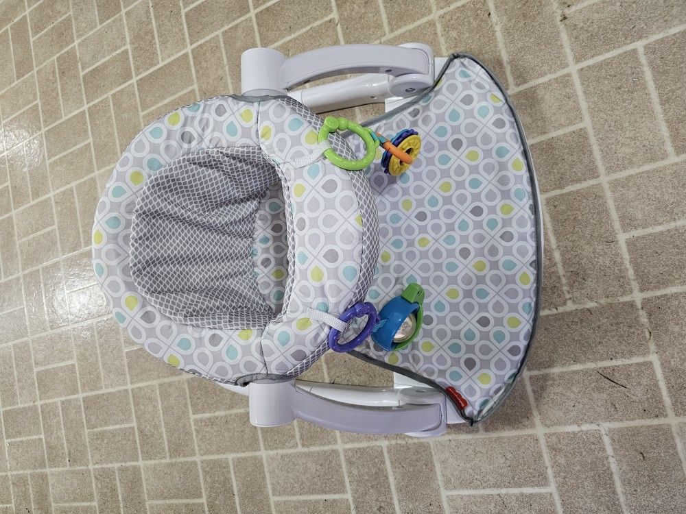 Fisher-Price Portable Baby Chair