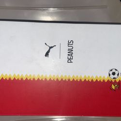 Puma Little Boy's & Boy's Peanuts Future Rider Sneakers