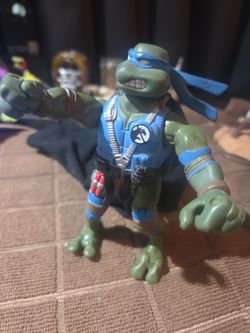 Ninja turtle