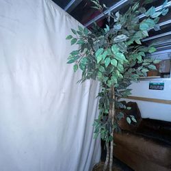Artificial Ficus Tree 