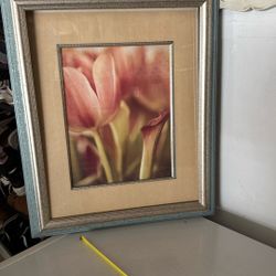 Picture Frame 20x24