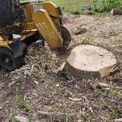 Stump Grinding 