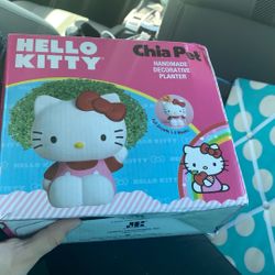 Hello Kitty Chia pet planter