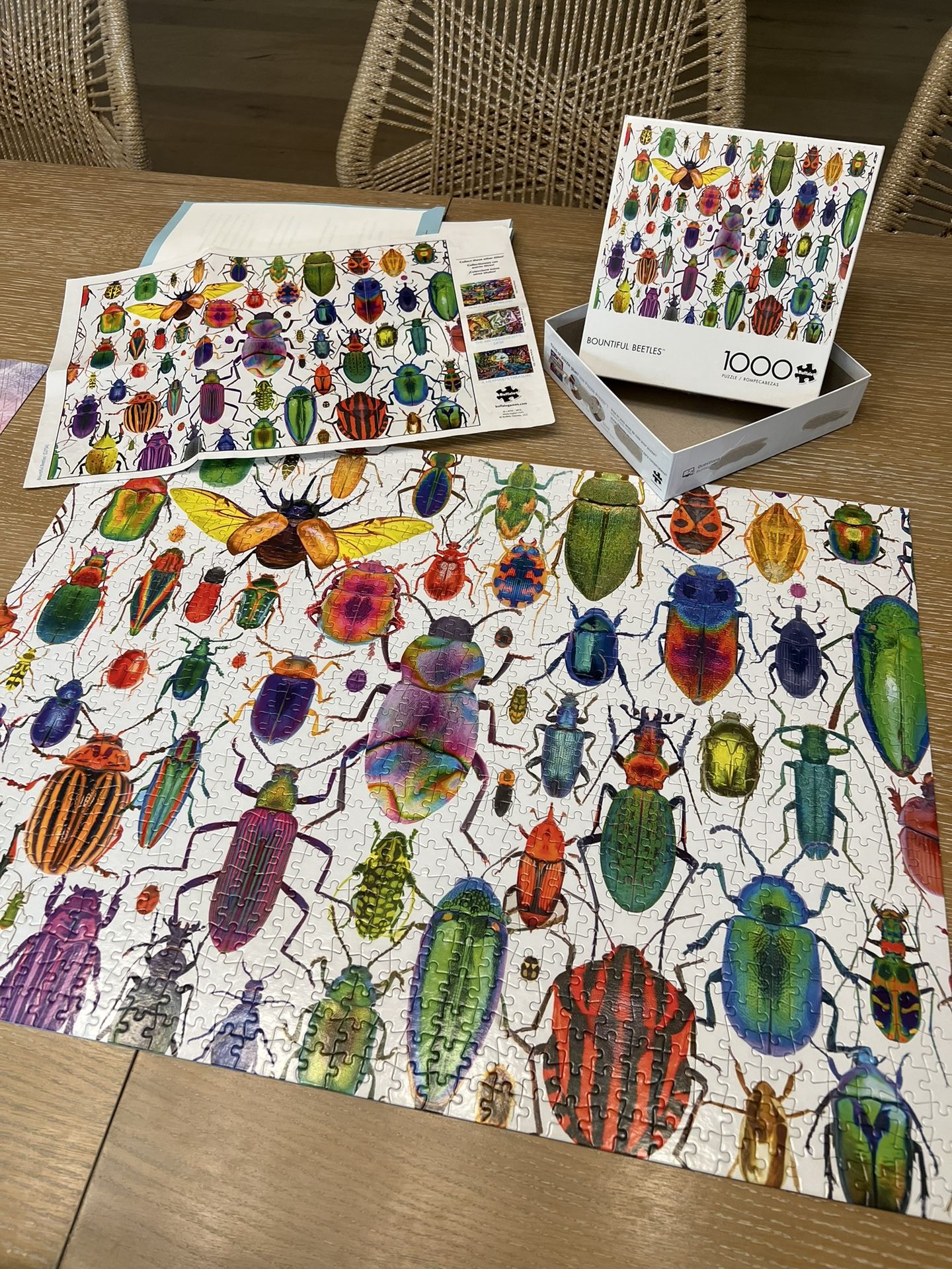 Bountiful Beetles Puzzle