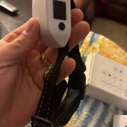 dog barking collar