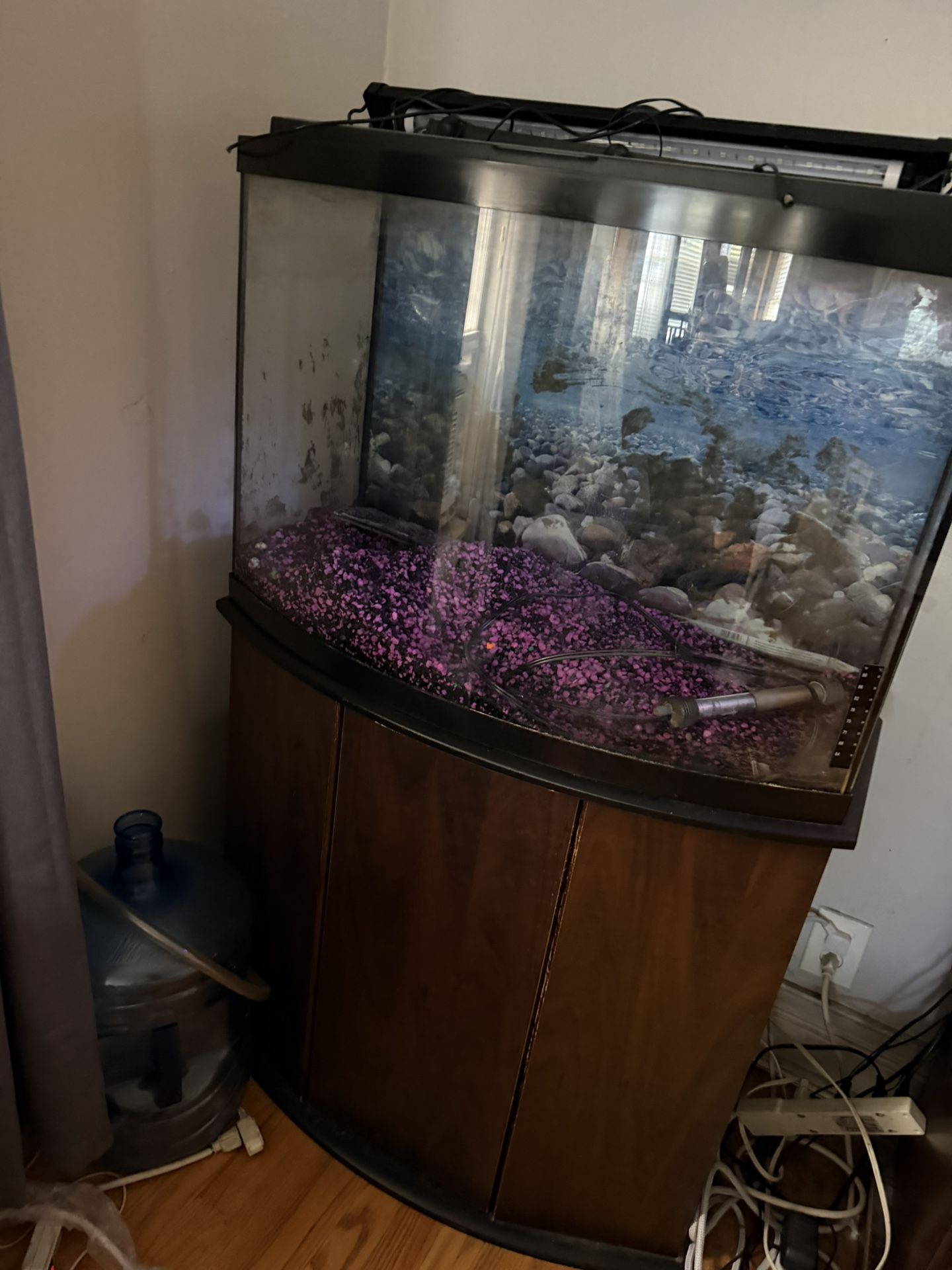 Fish Tank With Stand $100