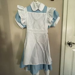 Alice In wonderland Costume