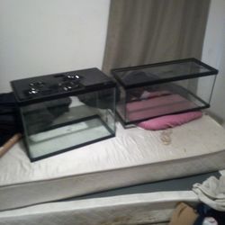 10 And 20 Gallon Tank 