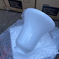 Replacement Glass For Vanity  Light Fixture 