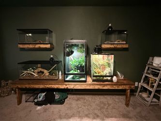 Custom Habitat Console with Floating Display Shelves