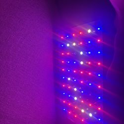 WAKYME Grow Light