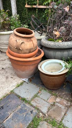 Clay Plant Pots