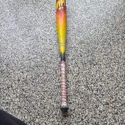 Easton Hype Fire Baseball Bat- OBO