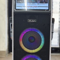 14.1” Touch Screen Professional Bluetooth Speaker w/ 2 UHF Mics