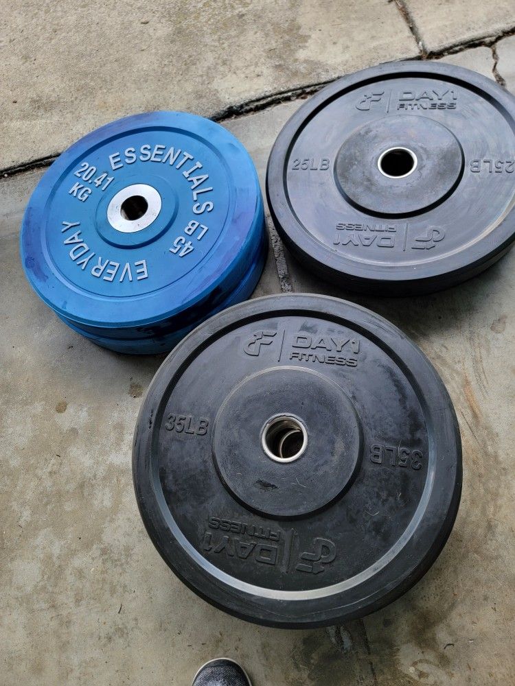 Weight Lifting Bumper Plates And  MORE