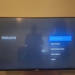 Smart Sony Bravia TV, 49"