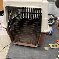 Large Kennel