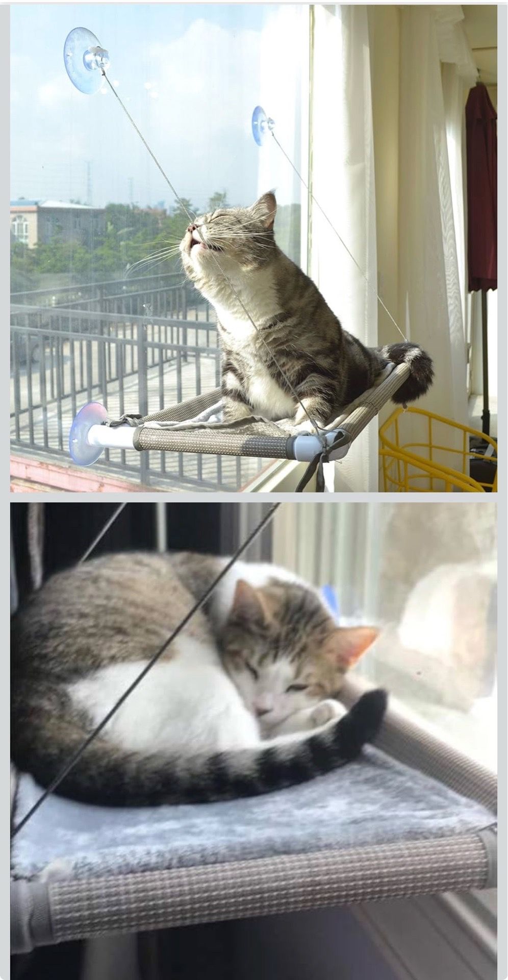 Cat Window Hammock