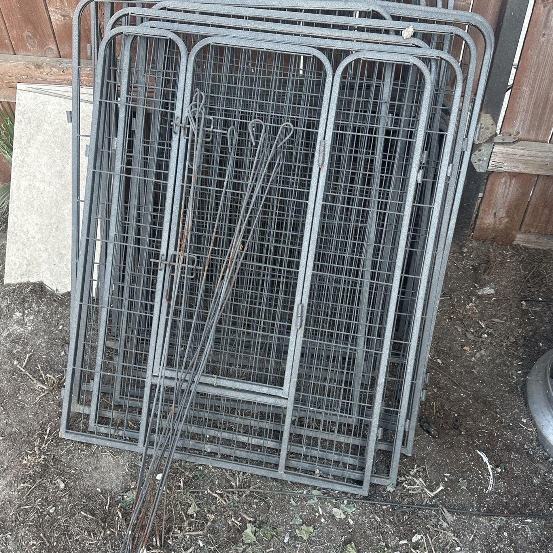 Dog Cages
