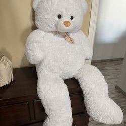 White Teddy Bear