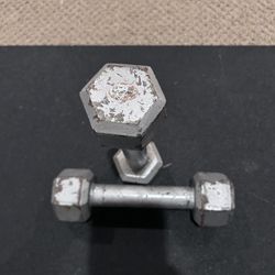 5lb And 8 Lb Dumbbells + Push Up