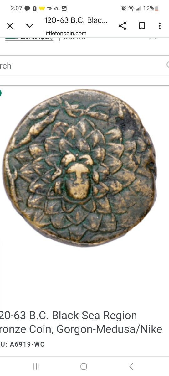 Black Sea Coin 120-60 Bc