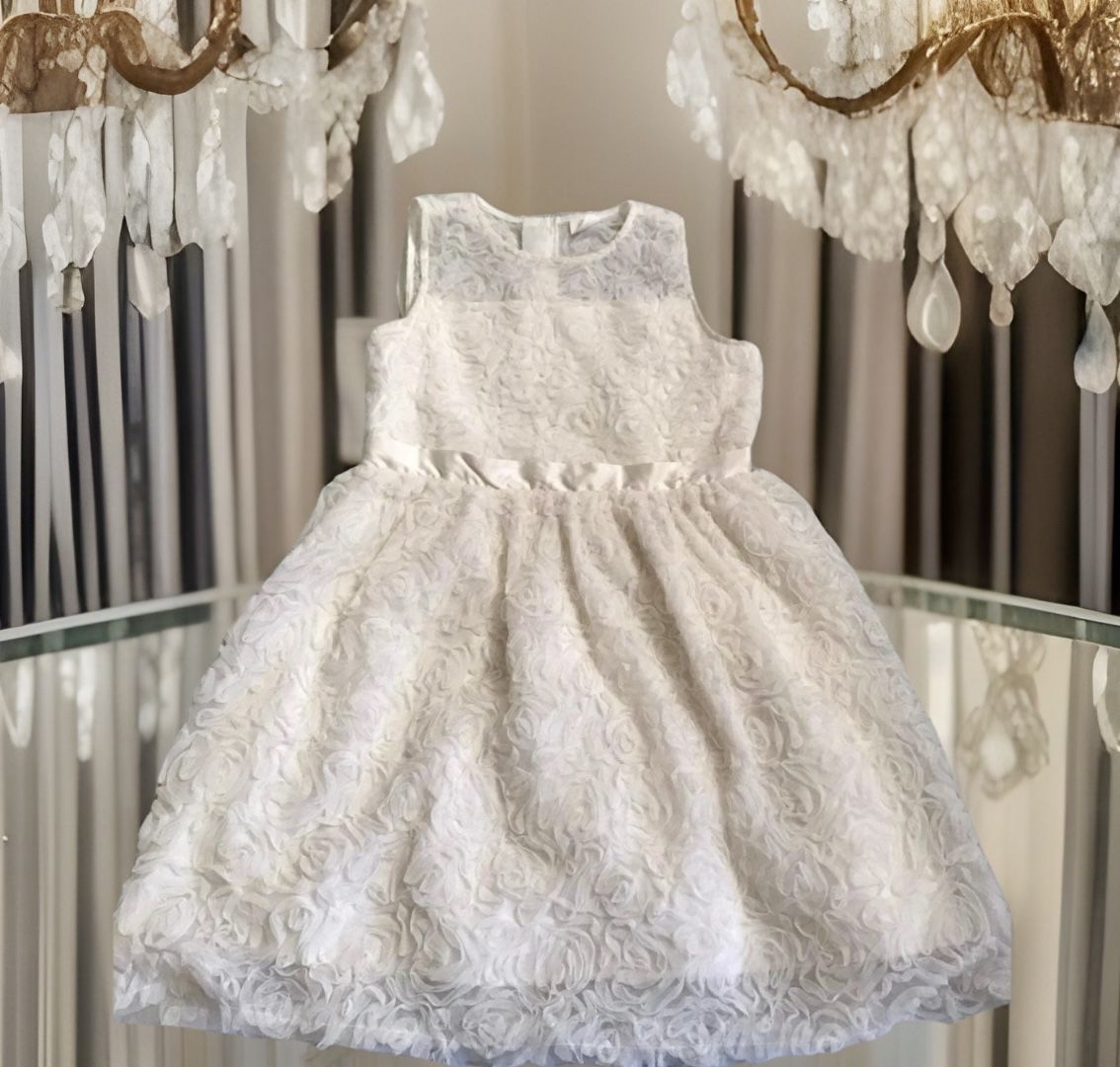 Girl’s Rosette Lace Mesh formal Holiday dress size 16 youth