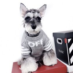 Dog Outfit 