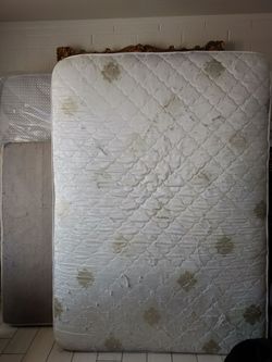 FREE full size mattress
