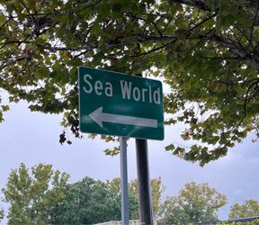 SeaWorld San Diego!!!!
