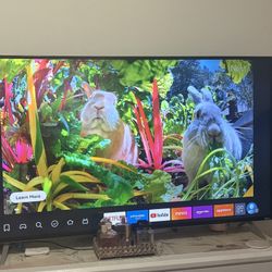 Vizio 60” Tv
