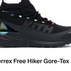 Adidas Terrex Free Hiker Gore-Tex x Kith – Black Style EE7520 Deadstock – New in Box