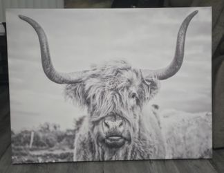 Large Wall art Cow