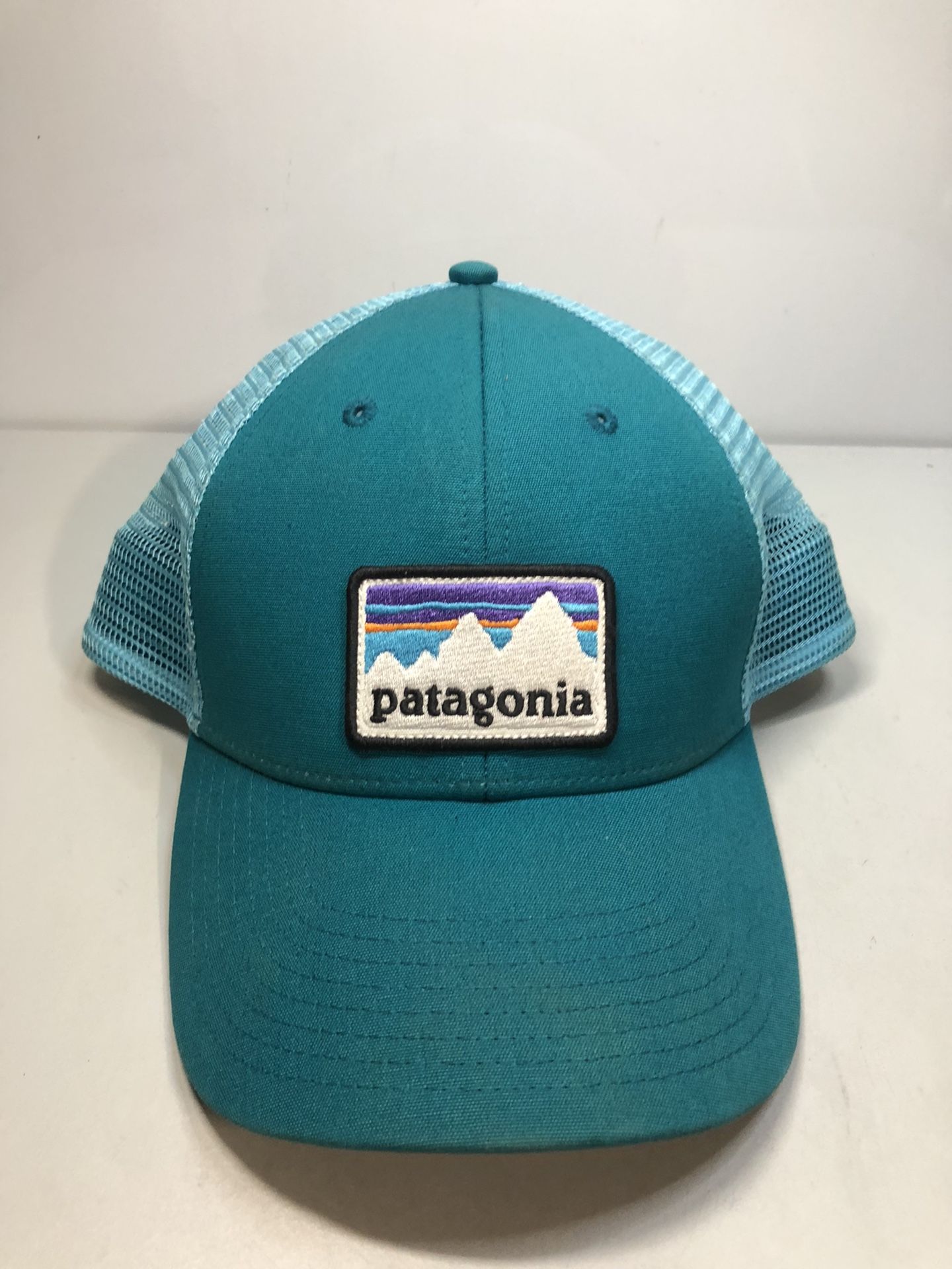 Patagonia Blue Trucker Cap Snapback hat