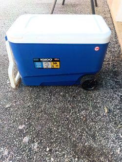 Cooler