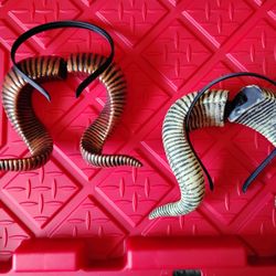 Horn Headband lot of 2 New 