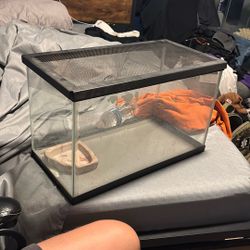 10 Gallon Fish Tank