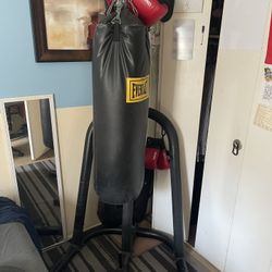 Everlast Boxing Bag W/ Stand and Gloves