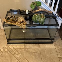 Bearded dragon tank with accessories 