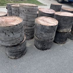 Palm Tree Stumps 
