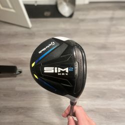 Sim 2 Max 5 Wood